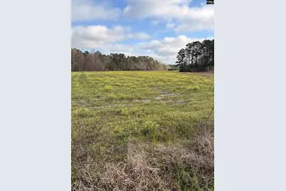 0 Bryant Road, Reevesville, SC 29471 - Photo 7