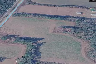 0 Bryant Rd, Reevesville, SC 29471 - Photo 1