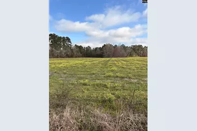 0 Bryant Road, Reevesville, SC 29471 - Photo 5