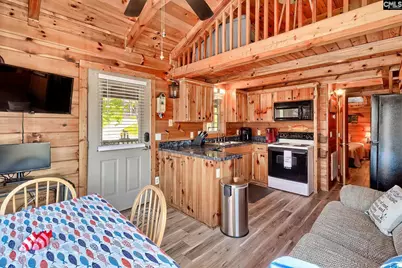 166 Marina Cove Drive, Gilbert, SC 29054 - Photo 9