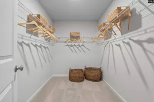 540 Corkscrew Ln, Blythewood, SC 29016 - Photo 19