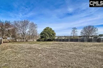 154 Switch Grass Drive, Leesville, SC 29070 - Photo 31