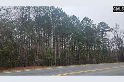 632-16 Hwy 773, Pomaria, SC 29126 - Photo 1