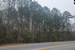 632-16 Hwy 773, Pomaria, SC 29126 - Photo 1