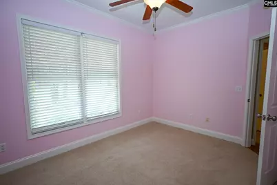 602 Swansea Road, Swansea, SC 29160 - Photo 25