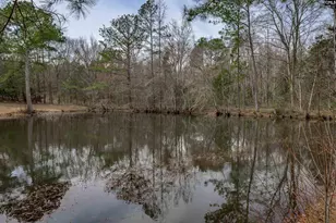 2386 Sardis Rd, Saluda, SC 29138 - Photo 7