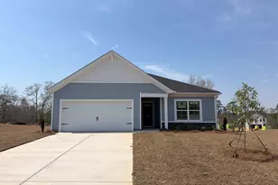 189 Calm Citadel Dr, Pelion, SC 29123 - Photo 1