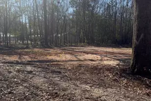 750 Maple St, Pelion, SC 29123 - Photo 1