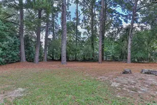 1740 Sunnyside Dr, Cayce, SC 29033 - Photo 33
