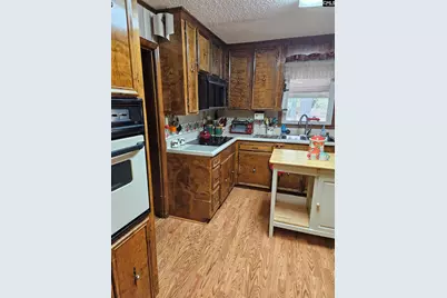 303 Carlisle Avenue, Winnsboro, SC 29180 - Photo 19