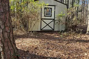 303 Carlisle Ave, Winnsboro, SC 29180 - Photo 43