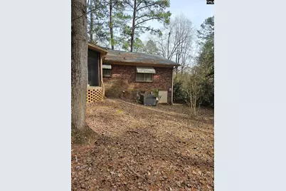 303 Carlisle Avenue, Winnsboro, SC 29180 - Photo 41
