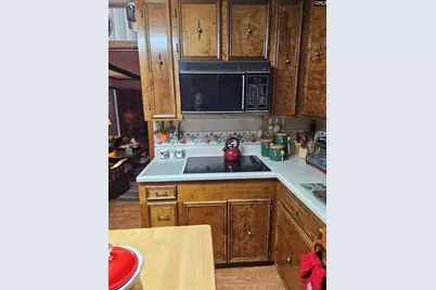 303 Carlisle Avenue, Winnsboro, SC 29180 - Photo 13