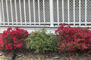 314 Brantley Dr, Hartsville, SC 29550 - Photo 11