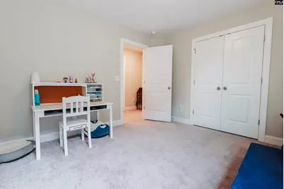 133 Hadleigh Drive, Lexington, SC 29072 - Photo 11