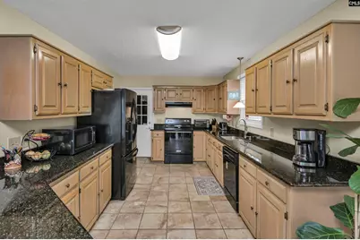 120 Spring Blossom Lane, Chapin, SC 29036 - Photo 3