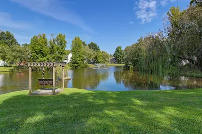 120 Spring Blossom Lane, Chapin, SC 29036 - Photo 7