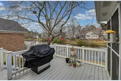 120 Spring Blossom Lane, Chapin, SC 29036 - Photo 35