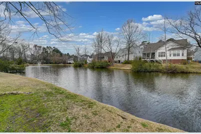120 Spring Blossom Lane, Chapin, SC 29036 - Photo 41