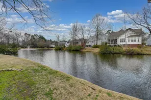 120 Spring Blossom Ln, Chapin, SC 29036 - Photo 41