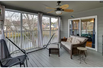 120 Spring Blossom Lane, Chapin, SC 29036 - Photo 5