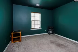 118 Pacific Ave, Chapin, SC 29036 - Photo 25