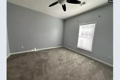 33 Tall Palmetto Lane, Lexington, SC 29072 - Photo 9