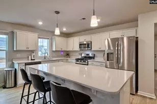 747 Clementine Run, Gilbert, SC 29054 - Photo 13