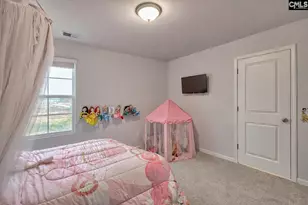 747 Clementine Run, Gilbert, SC 29054 - Photo 27