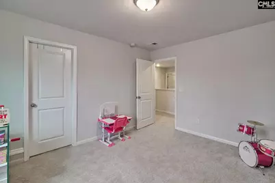 747 Clementine Run, Gilbert, SC 29054 - Photo 29