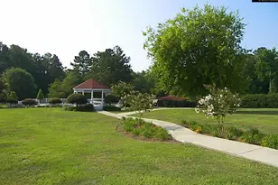 303 Vista Springs Cir, Lexington, SC 29072 - Photo 45