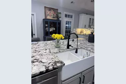 303 Vista Springs Circle, Lexington, SC 29072 - Photo 23