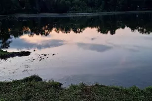 405 Magnolia Tree Rd, Lexington, SC 29073 - Photo 3