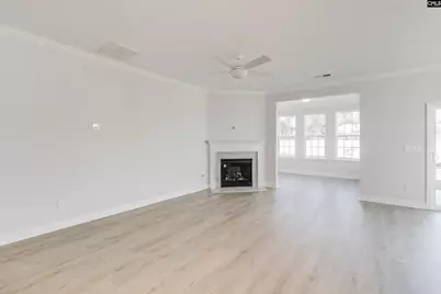 250 Horse Farm Place, Lexington, SC 29072 - Photo 9