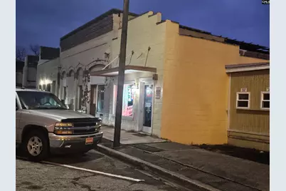 285 S Monmouth Avenue, Swansea, SC 29160 - Photo 5