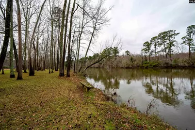 109 Saluda View Court, West Columbia, SC 29169 - Photo 65
