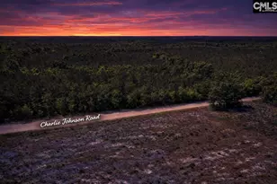 Lot 4 Charlie Johnson Rd, Bethune, SC 29009 - Photo 3