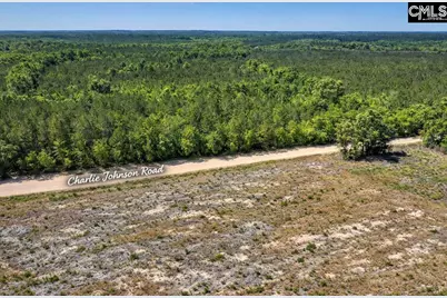 Lot 4 Charlie Johnson Road, Bethune, SC 29009 - Photo 5