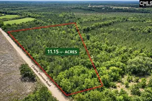 Lot 4 Charlie Johnson Rd, Bethune, SC 29009 - Photo 1