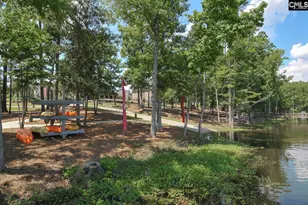 603 Riverdale Ct, Chapin, SC 29036 - Photo 67