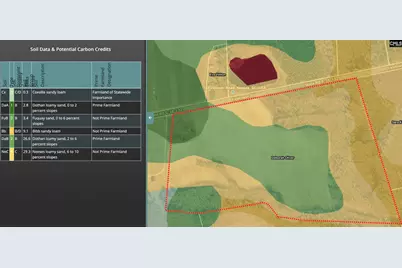 Tbd Firetower Road, Springfield, SC 29146 - Photo 7