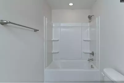 107 Greengarden Drive, Chapin, SC 29036 - Photo 53