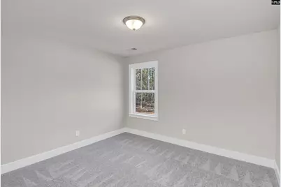 107 Greengarden Drive, Chapin, SC 29036 - Photo 55