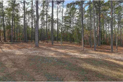 107 Greengarden Drive, Chapin, SC 29036 - Photo 63