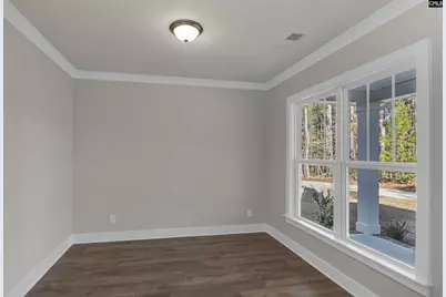 107 Greengarden Drive, Chapin, SC 29036 - Photo 11