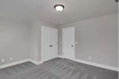 107 Greengarden Drive, Chapin, SC 29036 - Photo 57
