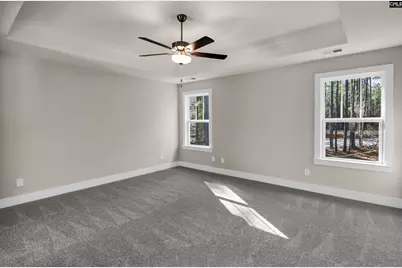 107 Greengarden Drive, Chapin, SC 29036 - Photo 37