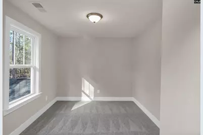 107 Greengarden Drive, Chapin, SC 29036 - Photo 39