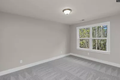 107 Greengarden Drive, Chapin, SC 29036 - Photo 49