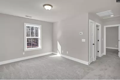 111 Greengarden Drive, Chapin, SC 29036 - Photo 49
